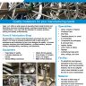Sheet Metal Fabrication